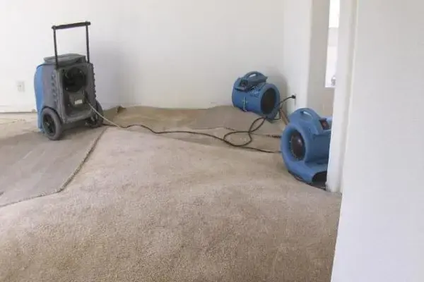 Carpet lifted with air movers and a dehumidifier drying the room