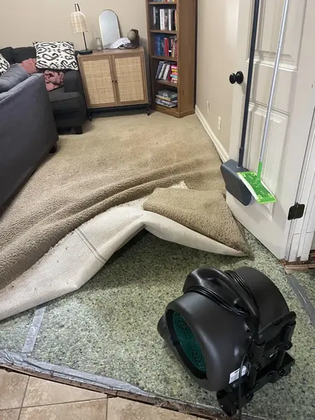 Wet carpet and pad pulled back with an air mover blowing underneath