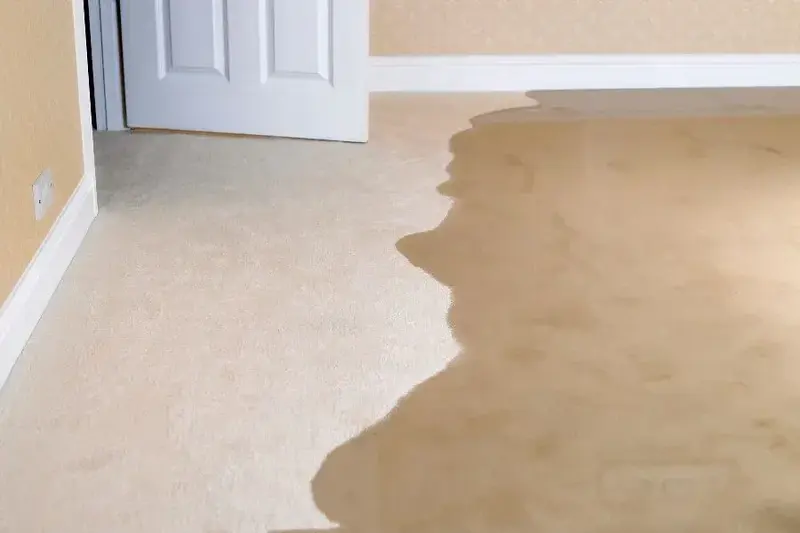Water spreading across wall-to-wall carpet from a leak below the floor
