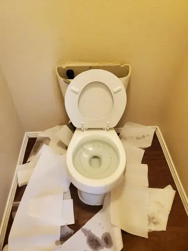 Toilet overflow with wet paper towels spread across the bathroom floor